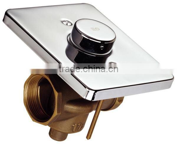 In-wall toilet flush valve