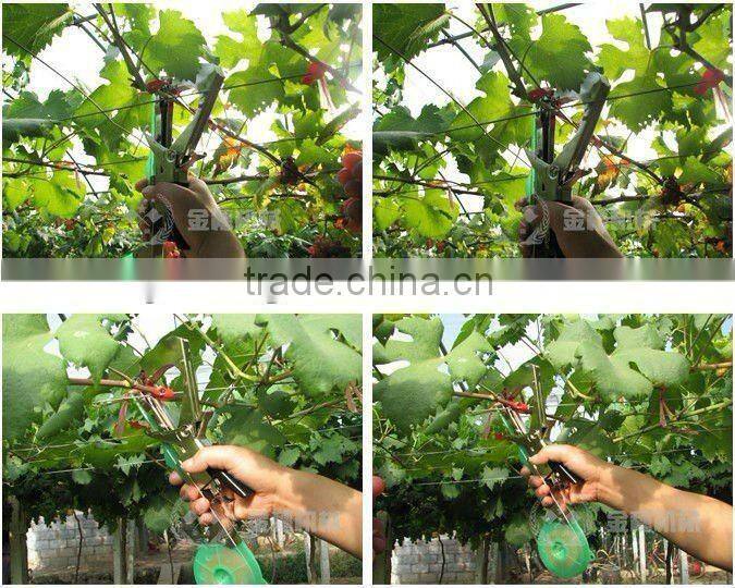 hand tying machine BZ-B for grape
