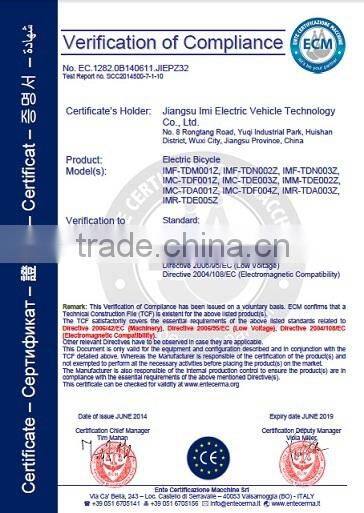 outdoor strong elliptical mtb electric bike,electric charging bikes