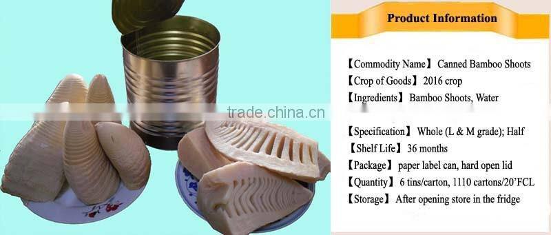 Canned Water Bamboo Shoot 2950gram N.W