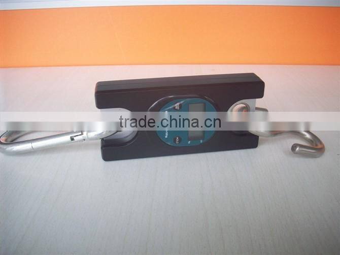 Digital Hanging Scale / Luggage Scale