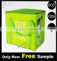 Outdoor fitness nonwoven insulated lunch bag cooler bag CB-036