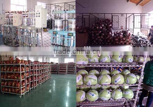 customized design rugby stress ball