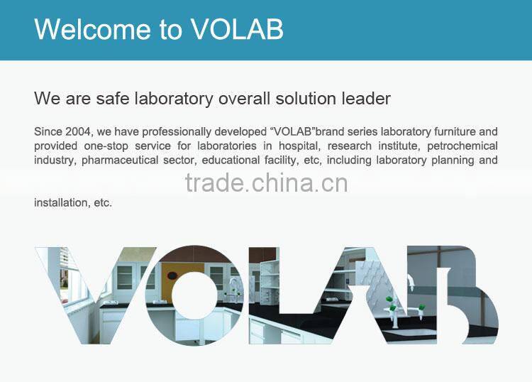 Factory Direct Sale Laboratory Fume Hood Price fume hood cupboard