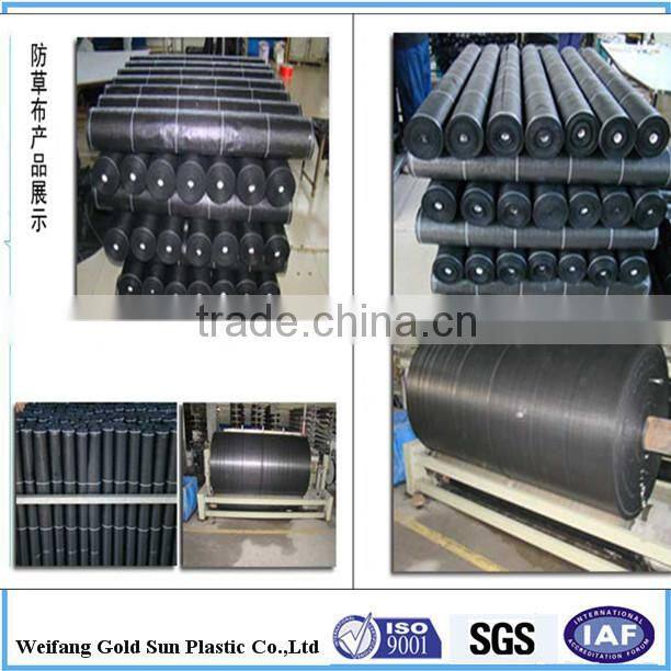 Agricultural PP weed control mat