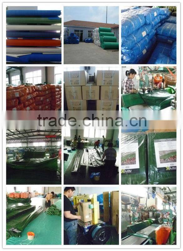 clear color&UV treated pe laminated screen house fabric