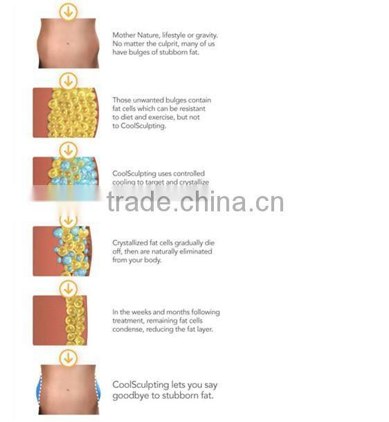 Hot Sale Beauty Salon Equipment Multifunction Cryolipolysis Machine