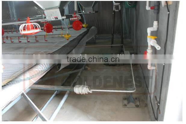 Goldenest poultry farm automatic manure removal system