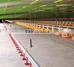Height Adjustable Automatic Auger Broiler Pan Feeding System