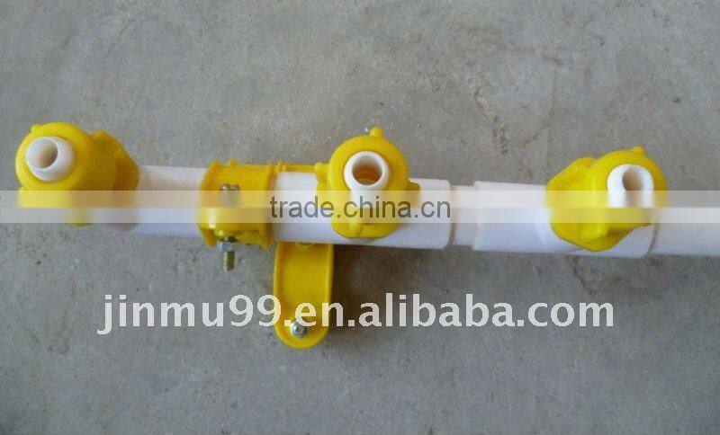 layer chicken poultry house