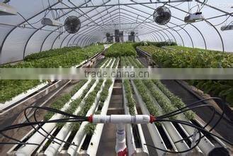 agricultural greenhouse with film for growing