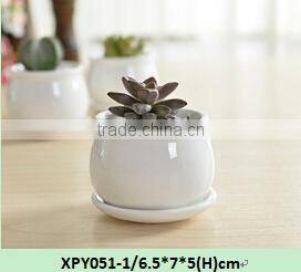 Indoor mini glazed white pottery planter for succulent