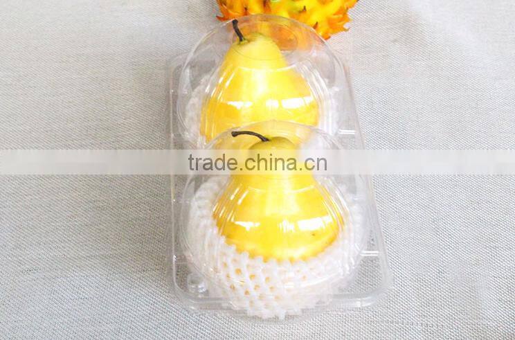 transparent PET vacuum formed plastic food/fruit tray