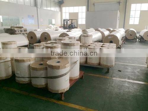 RCPP FILM RETORT CPP FILM