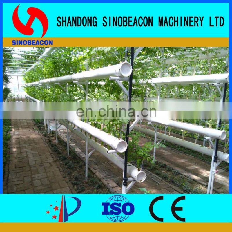 Hydroponic Lettuce Gutter Systems