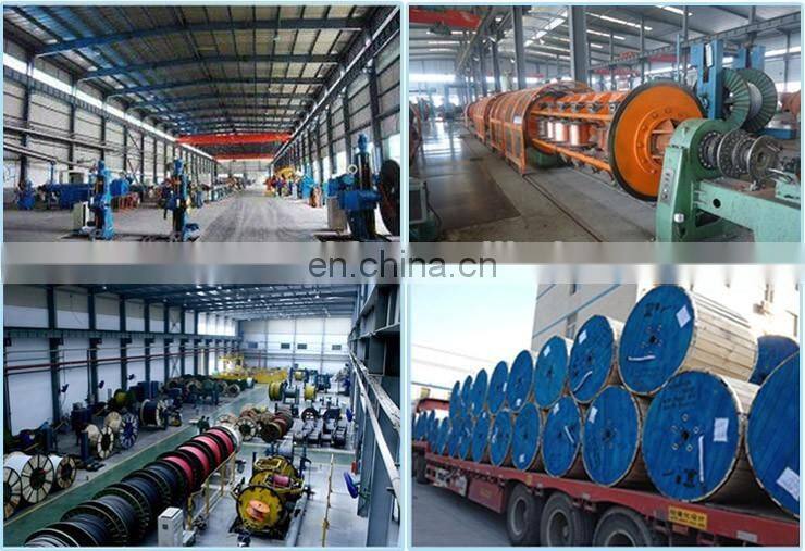 0.6/1KV XLPE insulation ROV-K 2X4mm2 shield cable flexible copper conductor PVC sheath