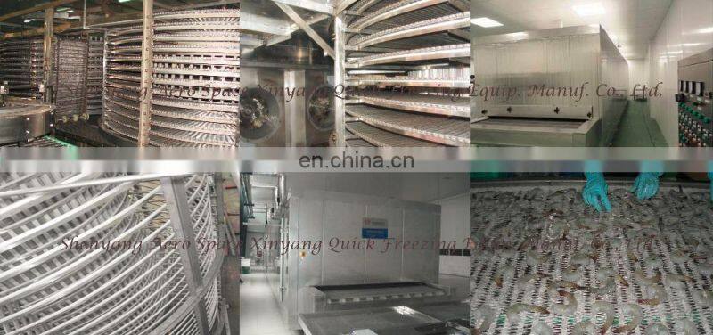 Commercial food belt quick Freezer