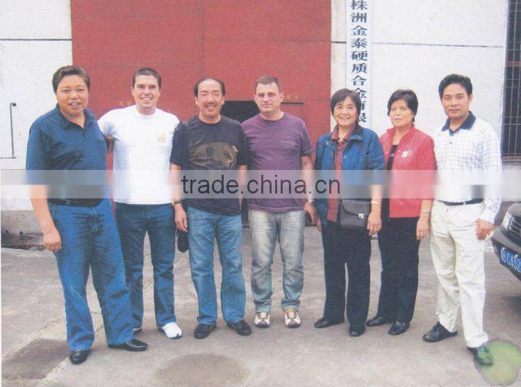 Various shapes cemented carbide wear parts