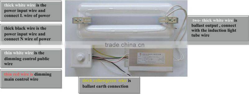 dimmer induction lamp