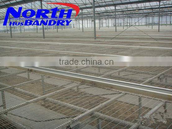 Commercial Greenhouse for agriculture