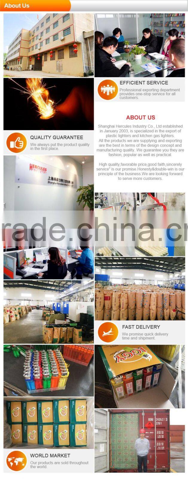 Professional manufacture disposable cigarette plastic electronic lighters HL-09608S