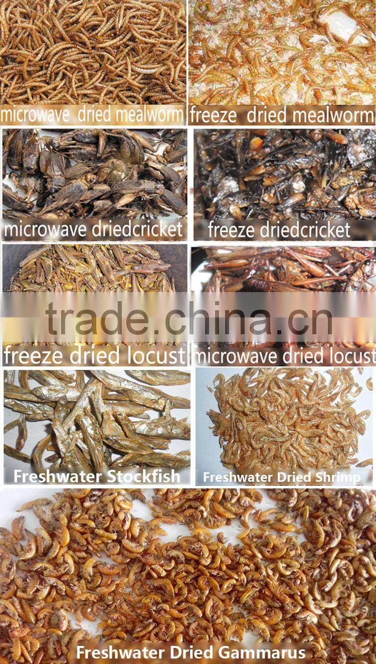 Rich-nutrition Pet Food Sun Dried Shrimp For Fish