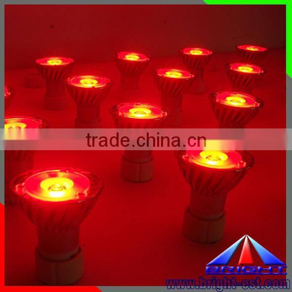 Bridgelux Chip 5w par20