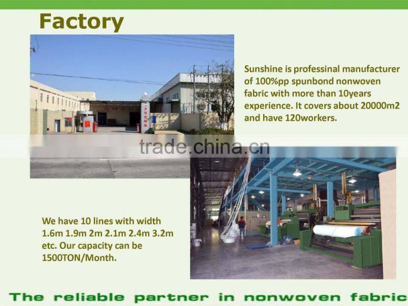 Customized Logo PP Non woven/ Non-woven Fabric Bag, Nonwoven Fabric Raw Material for Bag Making