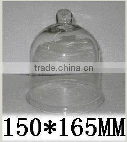Glass cloche dome