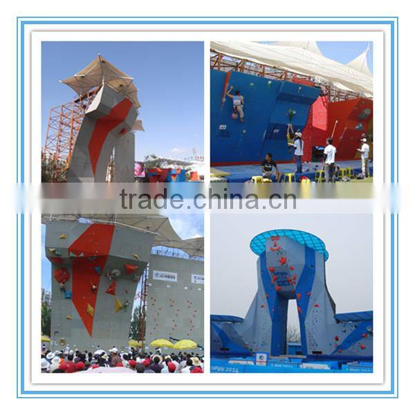 Vivid Looking Climbing Wall Holds