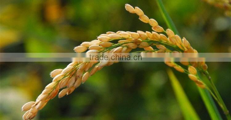 Huminrich Shenyang Organic Fertilizer As Plant Growth Regulator Potassium Humate Analysis Method