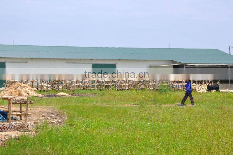 Vietnam manufacturer wicker green flat basket