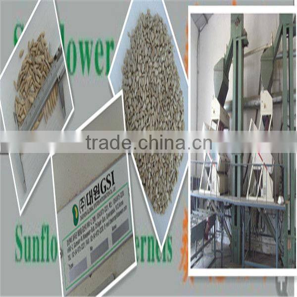 sunflower seeds kernels in Inner Mongolia