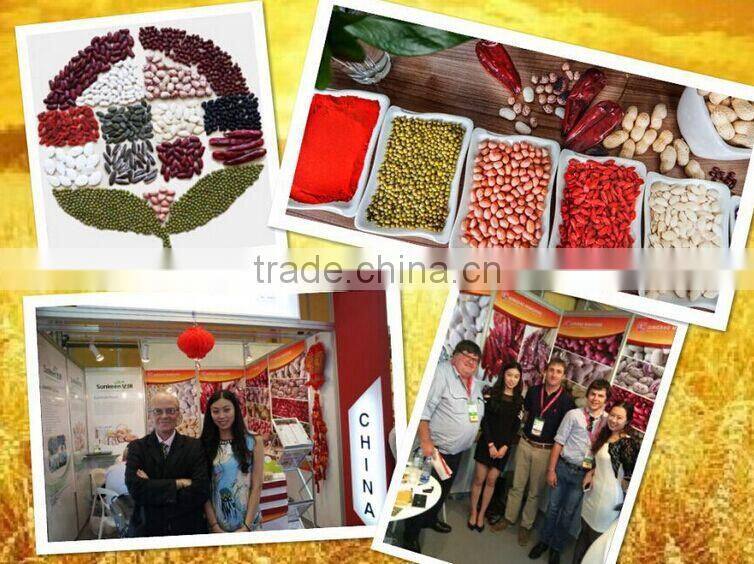 2015 crop Shine Skin Pumpkin Seeds Kernels, grade A