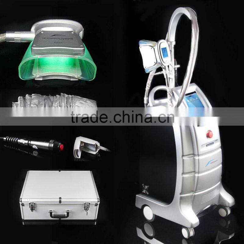 Factory price 3 changeable handles cryolipolysis freezing equipment, vertical cryolipolysis fat freezing machine