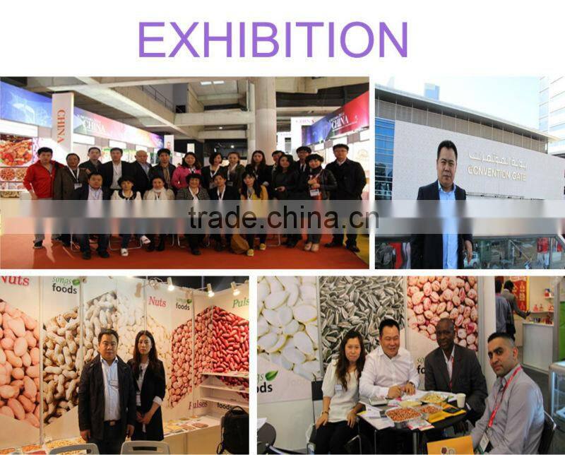 China Raw Edible Pumpkin Seeds