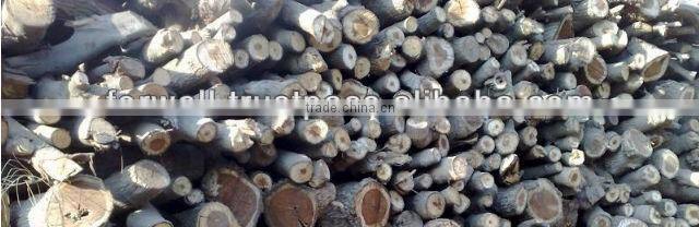 BBQ Charcoal from egypt with super quality