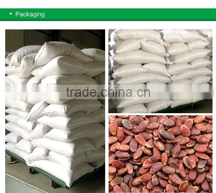 edible red water melon seeds big size