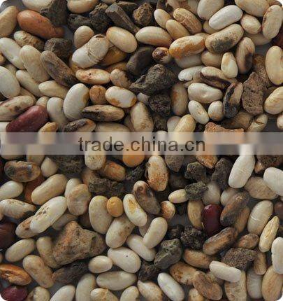 CCD white kidney bean sorting machine