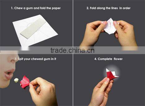 Bulk Sport different taste Chewing Gum supplement