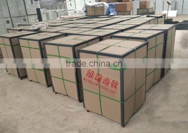 WQ-60 automatic chicken plucker used poultry plucker for sale