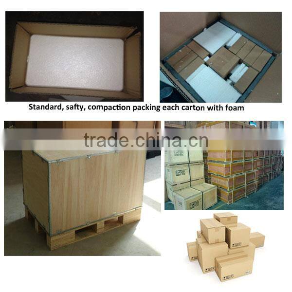 Intelligent LCD Illumination Incubator