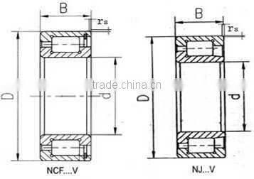 SL192308 Long Cylindrical Roller Bearing for Locomotives