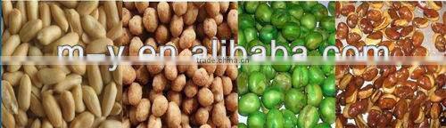 High quality Frying machine