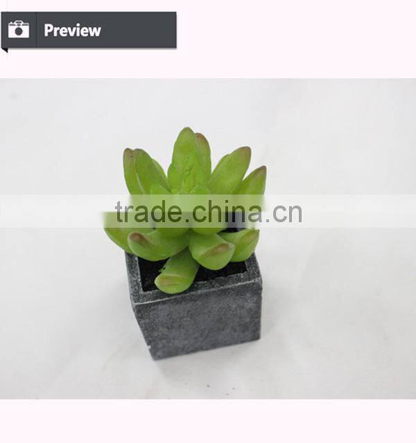 Wholesale artificial min succulents potted garden arrangement cheap mini plant