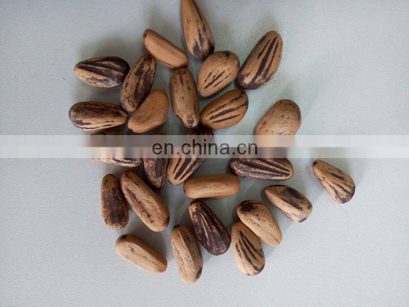 800-1000kg/h Almond sheller removing/almond shelling machine