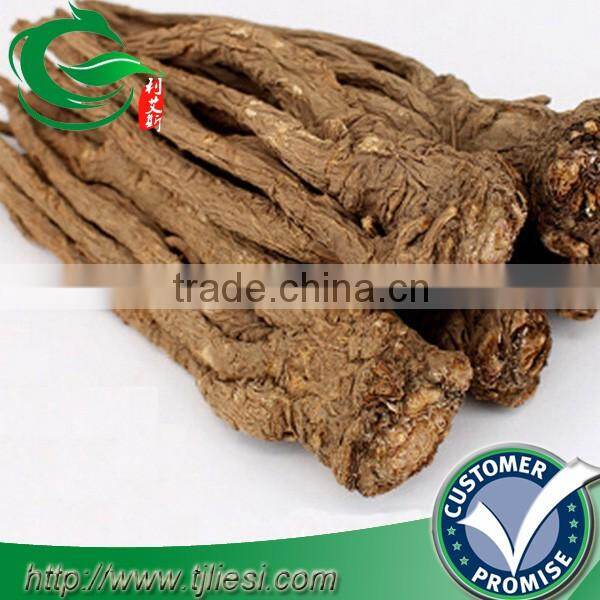 supply angelica sinensis root not extract