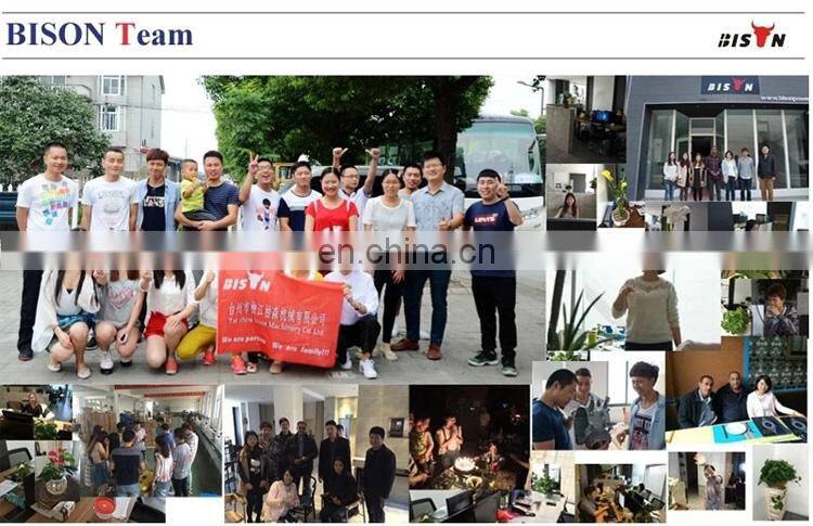 BISON(CHINA) Rated 2KW Gasoline Generator Petrol Fuel Generator With Factory Price List