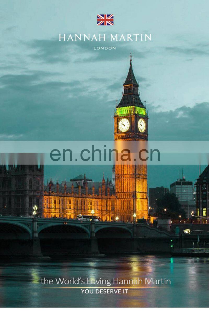 Hannah Martin 119 New Hot Sale Women Watch Rhinestone Embossed Rose Gold Mesh Belt Japanese Movement Waterproof Quartz Watch