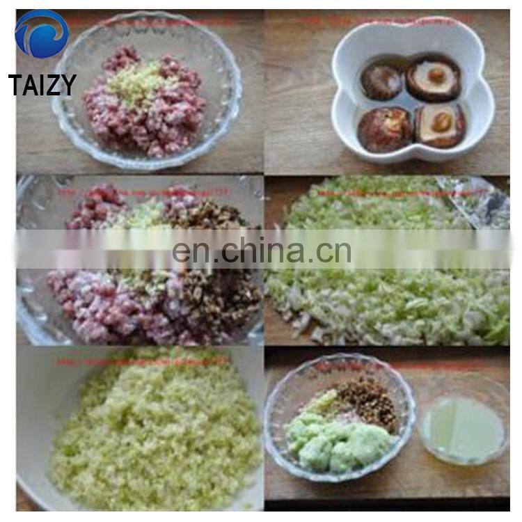 Small Vacuum Vegetable and Meat Mixer Ribbon Blender
